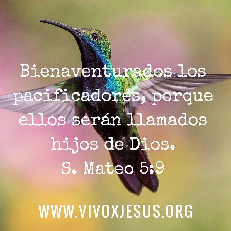 _vivoxjesus's tweet photo. https://t.co/cJt9GiFw8M