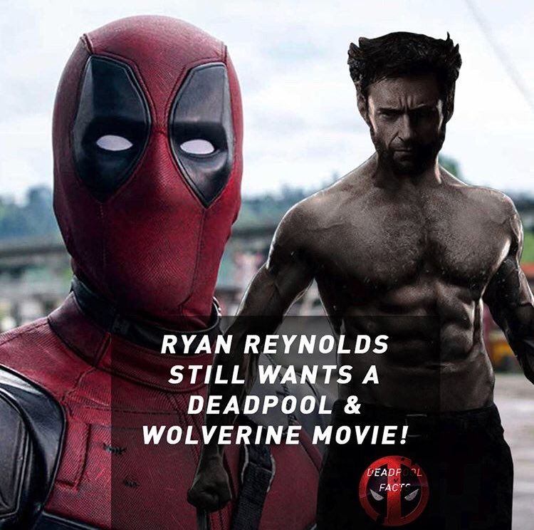 WolverSteve's tweet photo. C’mon @RealHughJackman... Hugh know it makes sense... eh! eh! eh! #Deadpool vs #Wolverine wouldn’t just be awesome... it would be THE BEST THERE IS! 

@VancityReynolds #NotComingAlone https://t.co/PguAo4Boms
