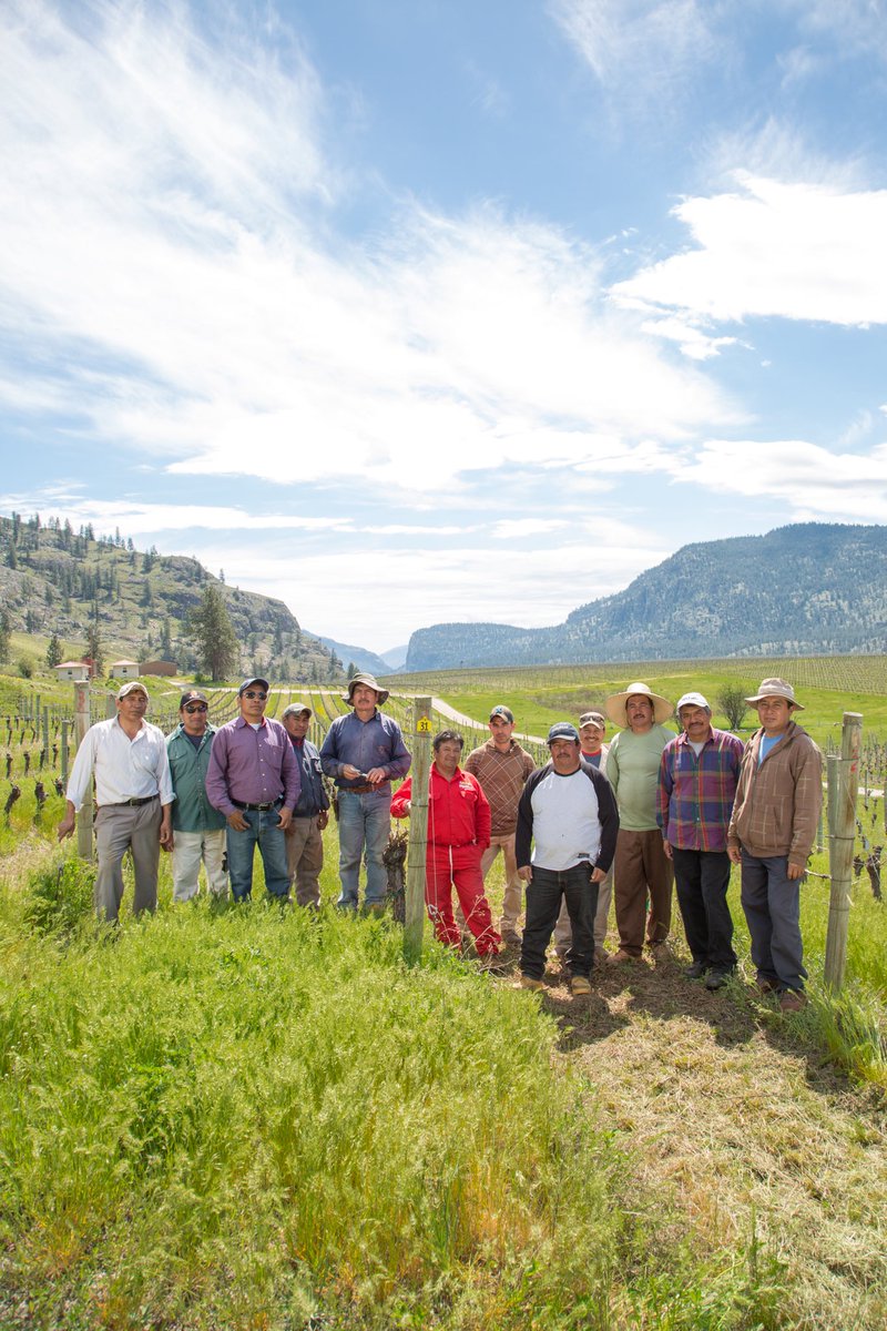While Cinco de Mayo takes on a different form in Canada than in Mexico, for us it’s a chance to celebrate our hard working vineyard crew — many of who return year after year and are a big part of the story here at Blue Mountain. Cheers to you guys! #bcwine #CincoDeMayo