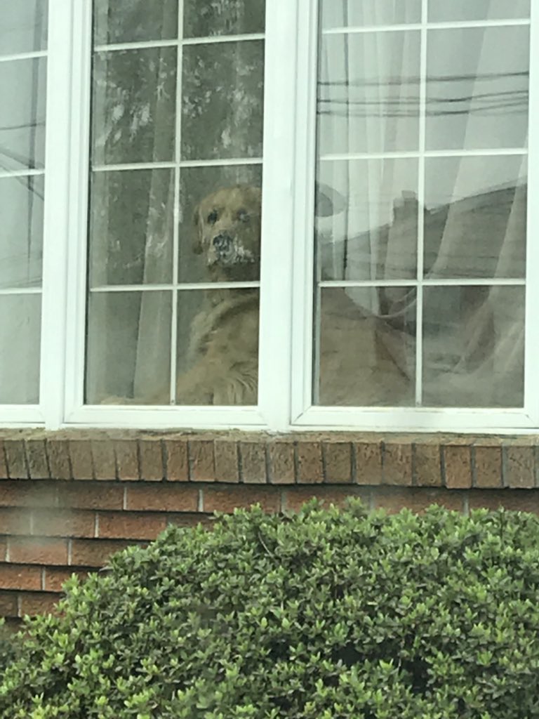 tylerjhershey's tweet photo. John says 3-5 mins per house, but some houses just take more time. #campaigntrail #sadtoseemego https://t.co/U2CiyfFCaV