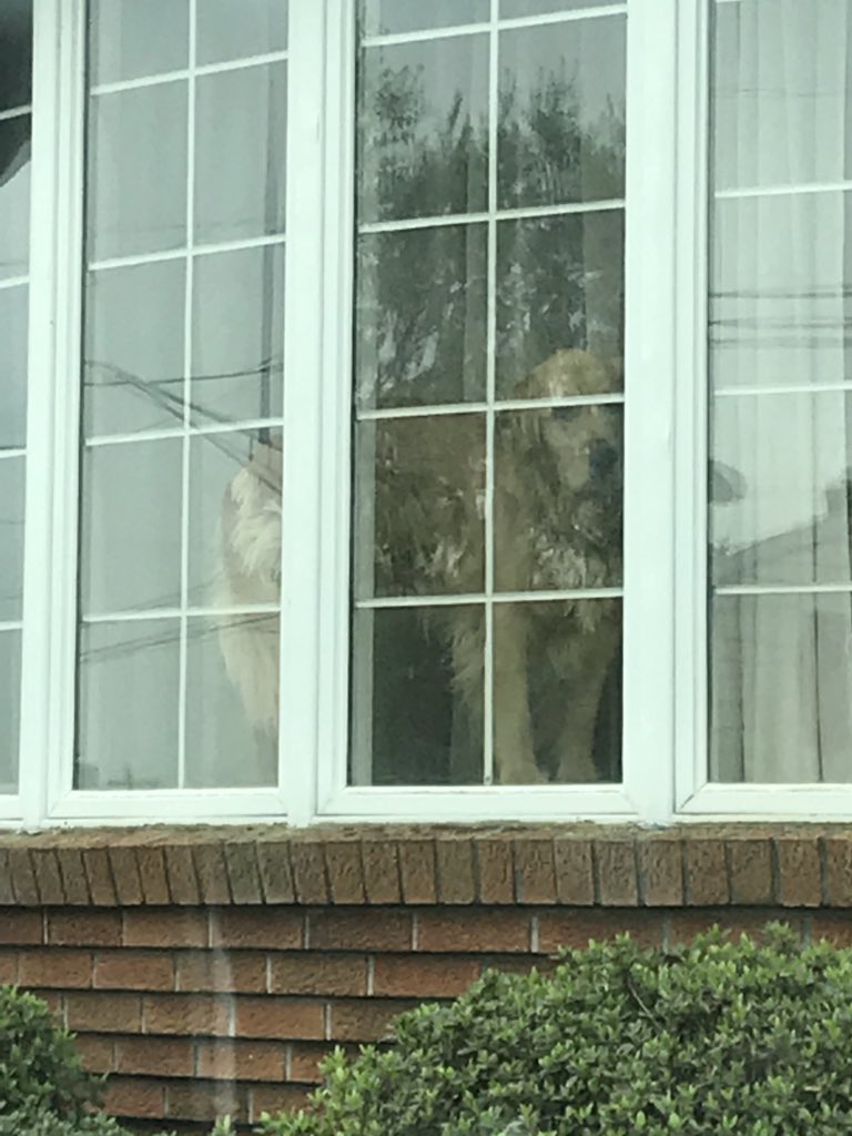 tylerjhershey's tweet photo. John says 3-5 mins per house, but some houses just take more time. #campaigntrail #sadtoseemego https://t.co/U2CiyfFCaV