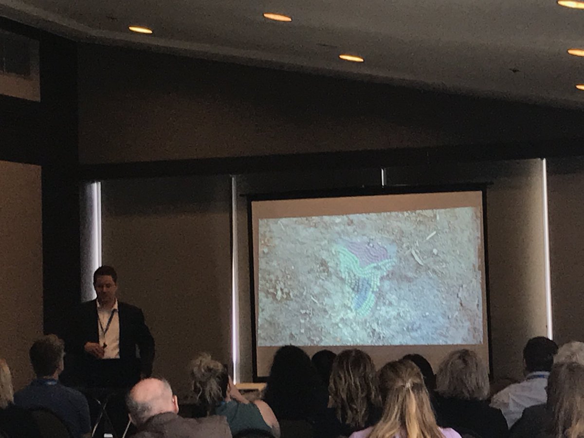 ArchResearch's tweet photo. The ‘crown jewel of Chimney Coulee’ discovered during excavations by Eric Tebby #CAA2018ACA https://t.co/1yqPEmcwgX