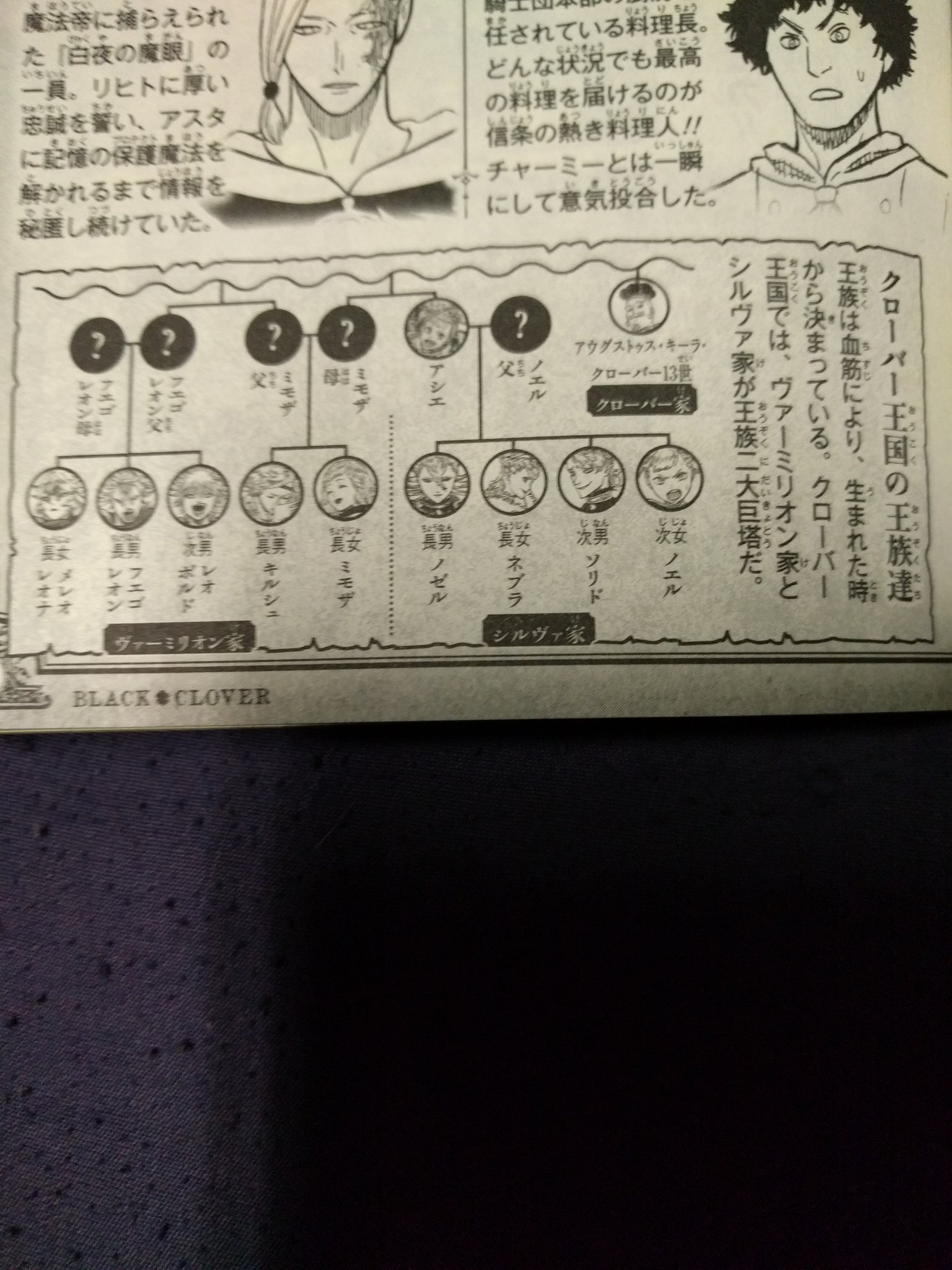 ザジル Big Thing To Note It Seems Like The Slivas And Mimosa With Her Brother Are Related To The Clover King Augustus This Is Really Interesting Hope We Get More ザジル Big Thing To Note It Seems Like The Slivas And Mimosa With Her Brother Are Related To The Clover King Augustus This Is Really Interesting Hope We Get More