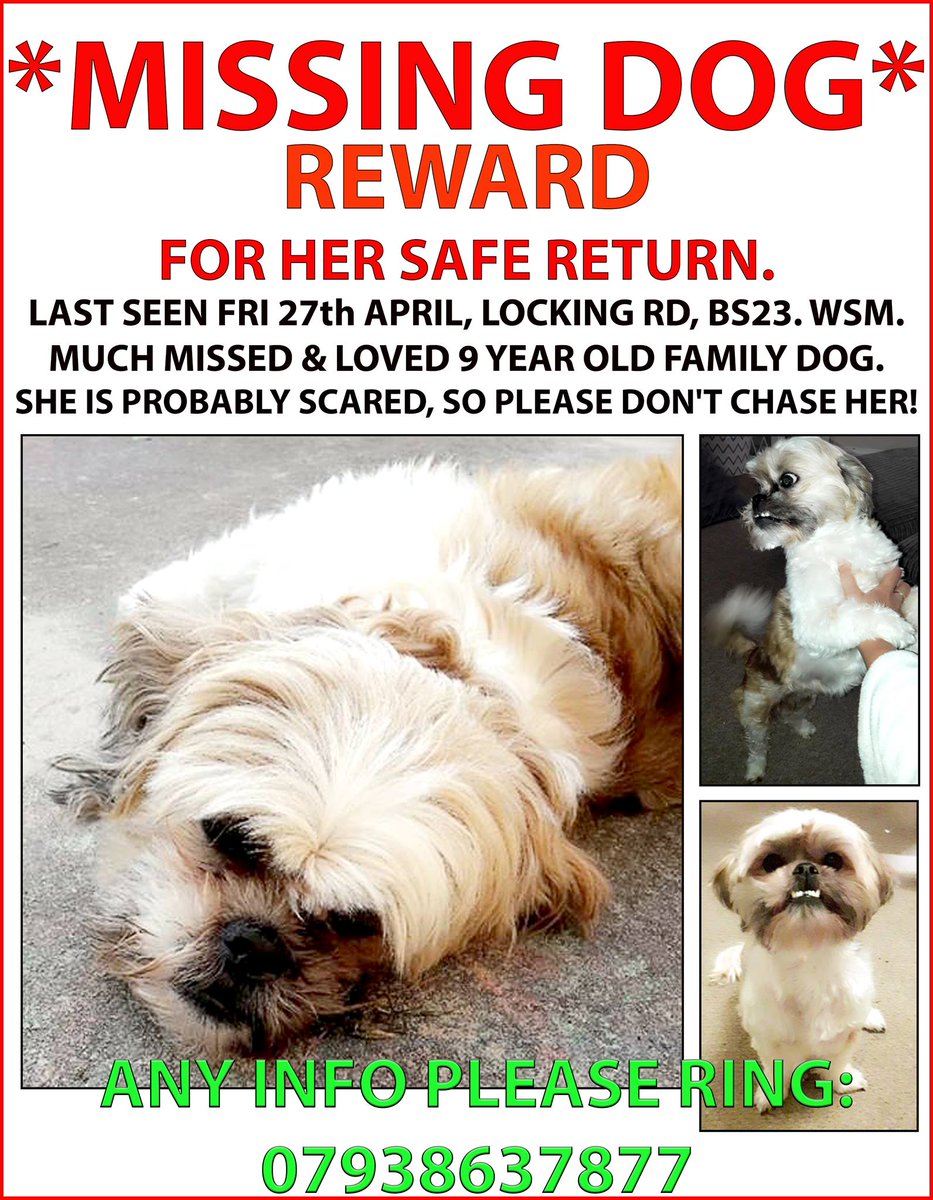 The_Animal_Team's tweet photo. STILL #MISSING since 27/4/2018 #LockingRoad, #WestonSuperMare #BS23 Area. https://t.co/I7jdYHEdAt https://t.co/20IMH7X43D