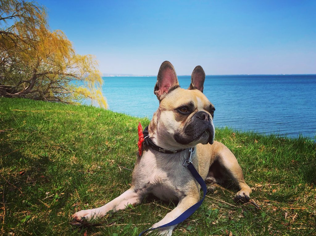 SarahJErnest's tweet photo. First time at Confederation Beach Park #HamOnt 🏖 Thank you to @cityofhamilton and the countless donors and #volunteers who make these parks and trails possible! #ExploreHamilton https://t.co/6B1nXexEqU