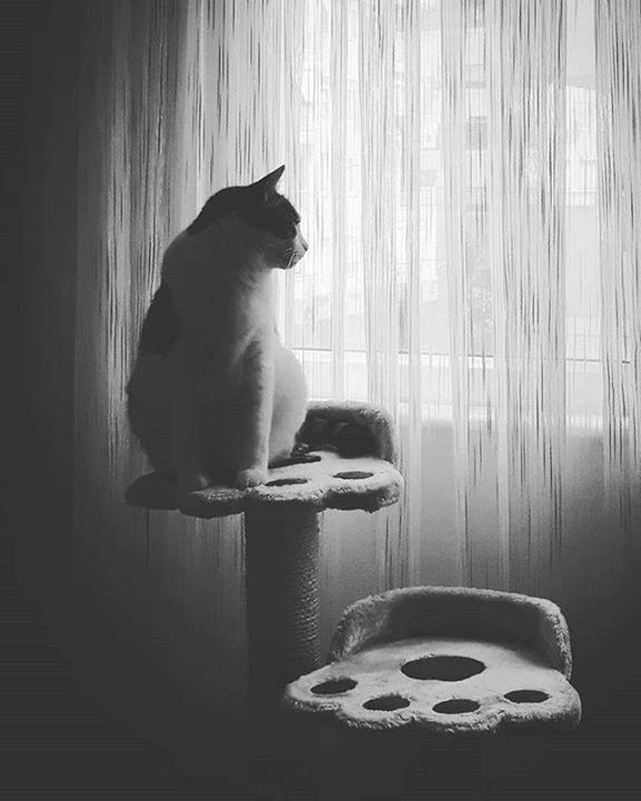 Bora Gungor (@BoraGungorPhoto) / Posts / X