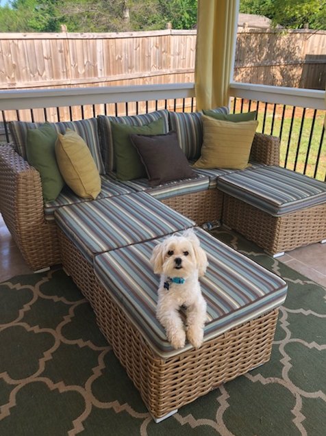 gooddegg's tweet photo. This Camia Sofa Set set offers all-weather resistant resin wicker that feels genuine and will last for many years. Plush cushions that are made from 100% polyester material, easily removable covers and are UV resistant.

https://t.co/qyGThUkUNS https://t.co/i08hyBburB