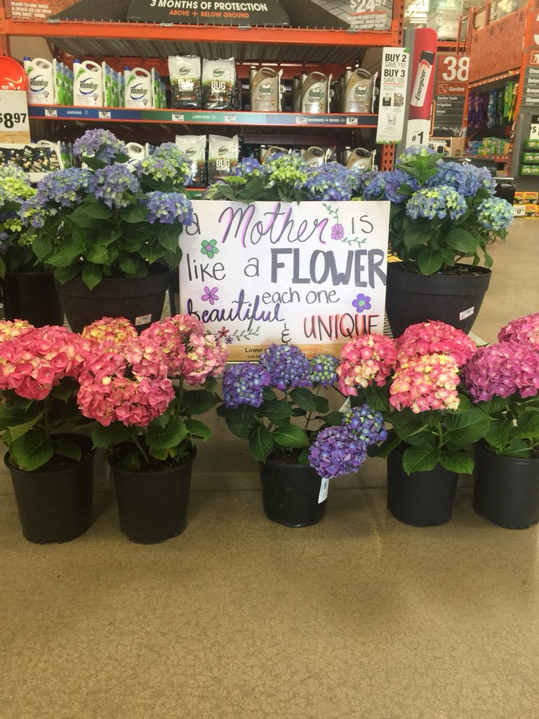 Mp960G's tweet photo. Come find the perfect gift for your mom  at our 3901 store today!@AdamHParrish @lanawarriner @Adam_THD @haciel_atalig @RuskMitch @windoverr @Lupe_Estrada1 @ConstantinoJoey https://t.co/30y09f5Jw5