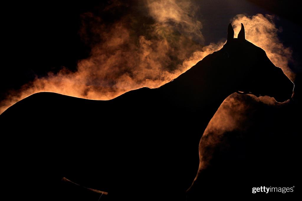 GettyImages's tweet photo. The beauty of bath time at the Kentucky Derby: https://t.co/lbTb43g1W6 https://t.co/FihFP1NjYY