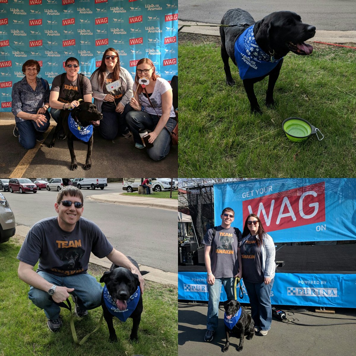 VerseManifest's tweet photo. #TeamAnakin
Another great #WalkForAnimals this morning!
@Animal_HumaneMN
#WalkForAnimalsMN https://t.co/OjoYakmWUn