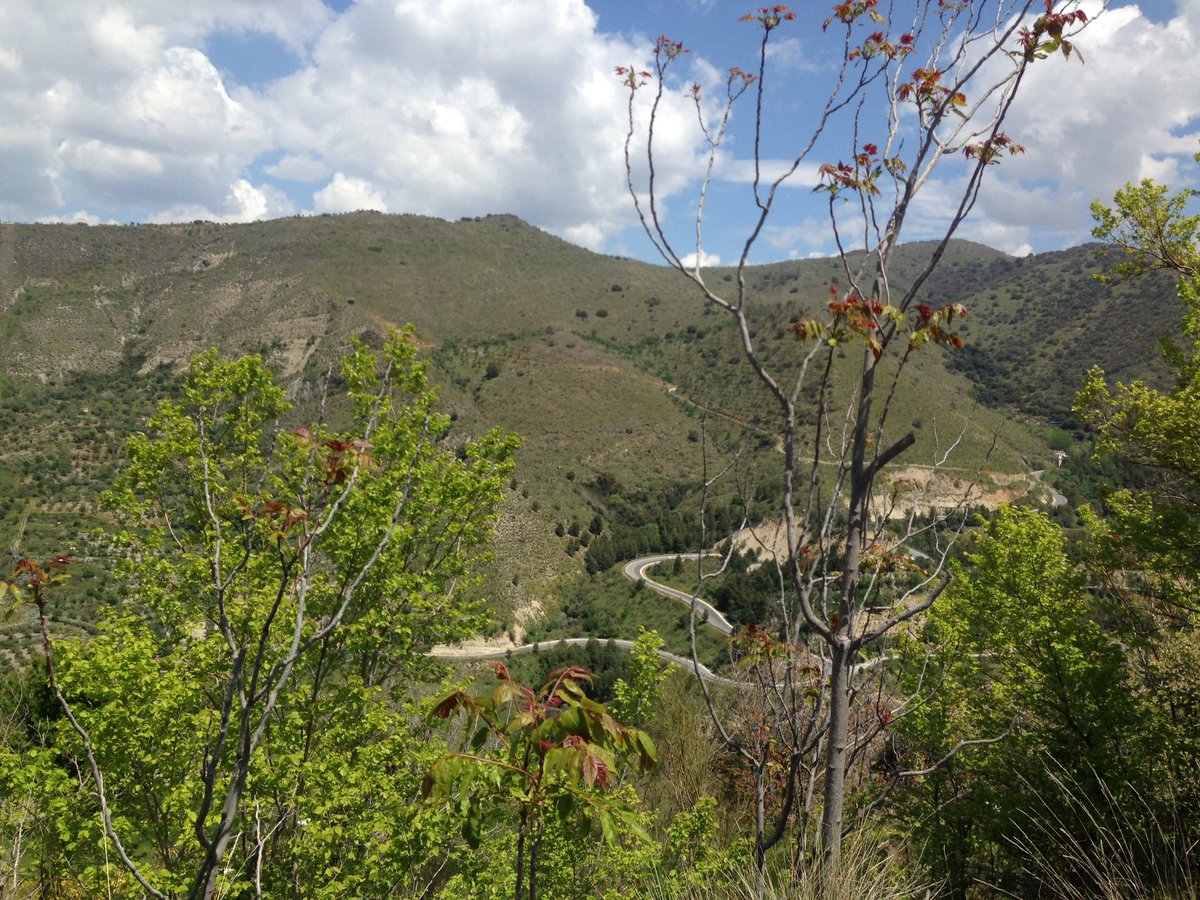 clayseous's tweet photo. Testing out the lungs (and the legs) in Andalusia #workhardridehard https://t.co/l0l2650Hok