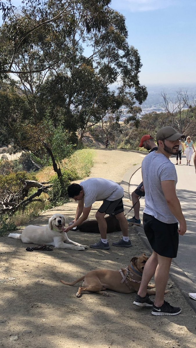 cooldirtspot's tweet photo. Cool Dirt Spot: LA Headquarters https://t.co/ThWftioSqC
