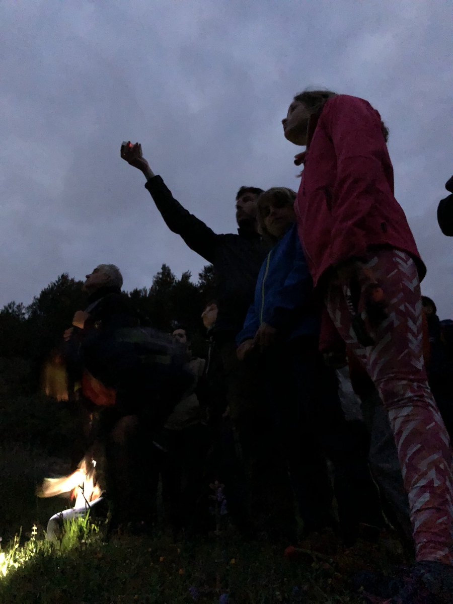 Cercavores's tweet photo. Seguim amb el BioBlitz a Can Maçana, ara amb ratpenats i papallones nocturnes https://t.co/nZhnzxo5OF