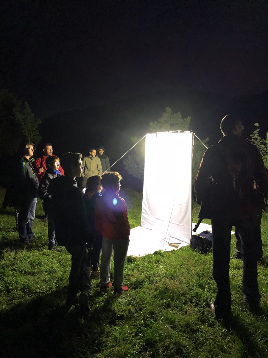 Cercavores's tweet photo. Seguim amb el BioBlitz a Can Maçana, ara amb ratpenats i papallones nocturnes https://t.co/nZhnzxo5OF