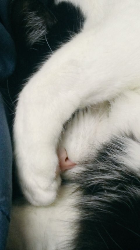 LLubomski's tweet photo. https://t.co/X0P8rQoFaZ