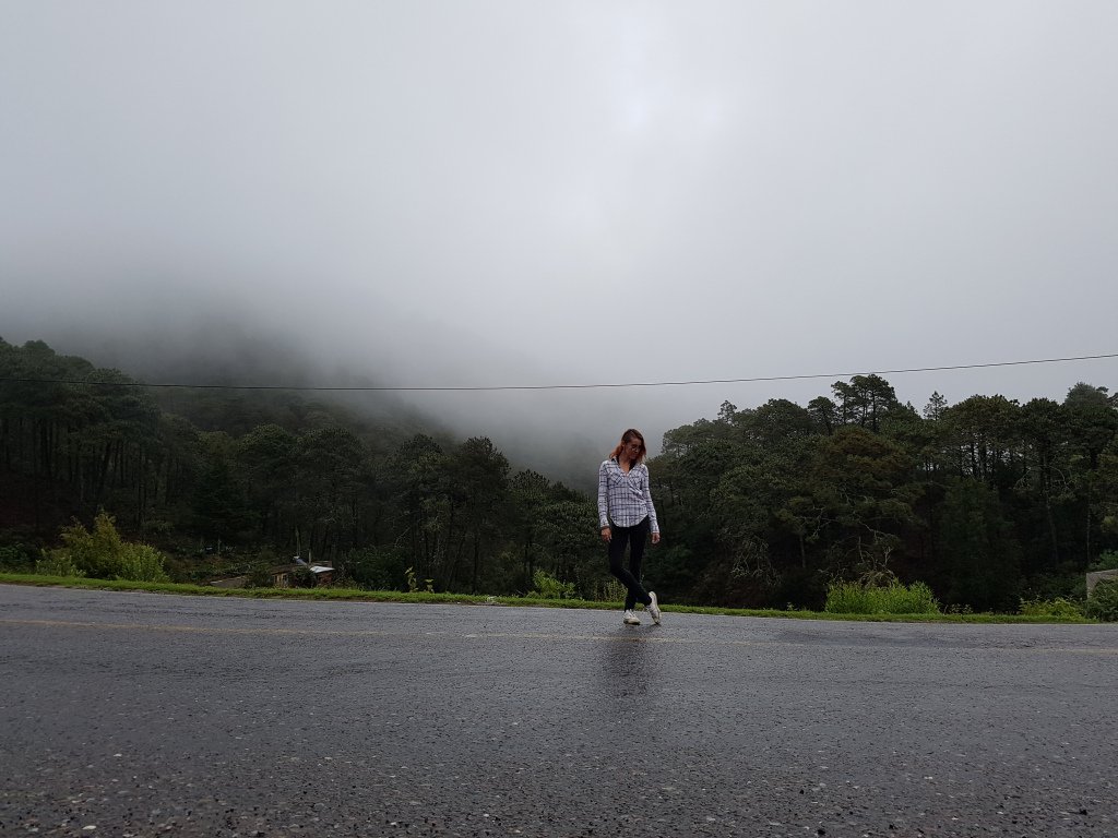 estefduque's tweet photo. ¡Conoce la majestuosidad de la huasteca! :D Estoy segura que te quedarás con ganas de estar ahí #viajes #polernómada #alrededordemexico #conociendomexico https://t.co/USrtAD75sU https://t.co/mWR8Lwke6Z