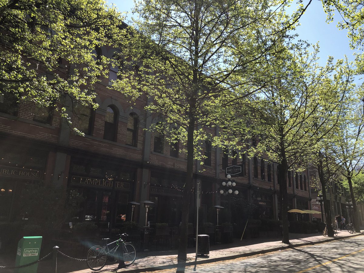  #Vancouver’s  @Gastown heritage neighbourhood rightly gets attention for its historic buildings & streets — but the wonderful mature street trees also contribute hugely to its special character, comfort & walkability.  #StreetsAreBetterWithTrees