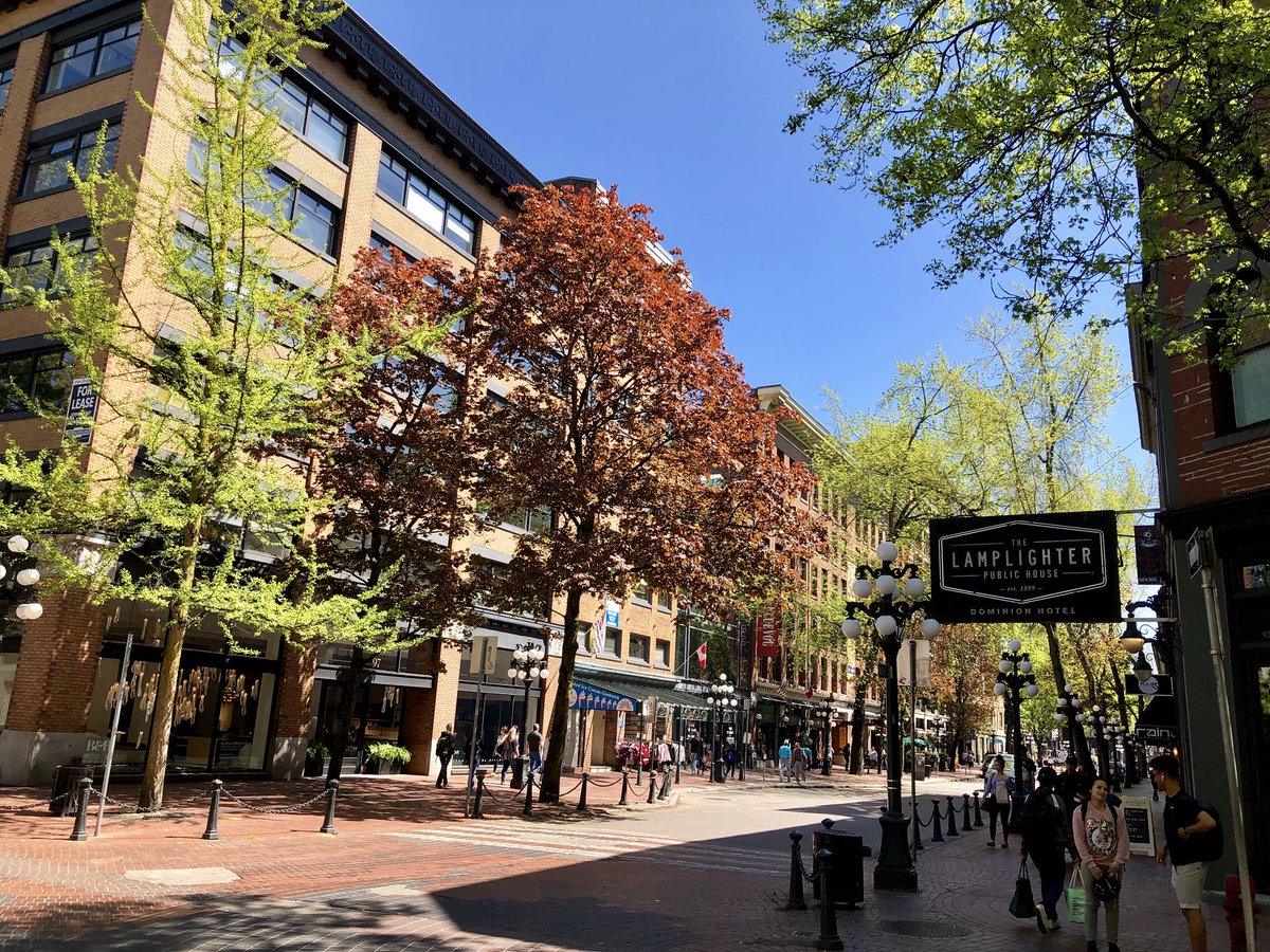  #Vancouver’s  @Gastown heritage neighbourhood rightly gets attention for its historic buildings & streets — but the wonderful mature street trees also contribute hugely to its special character, comfort & walkability.  #StreetsAreBetterWithTrees