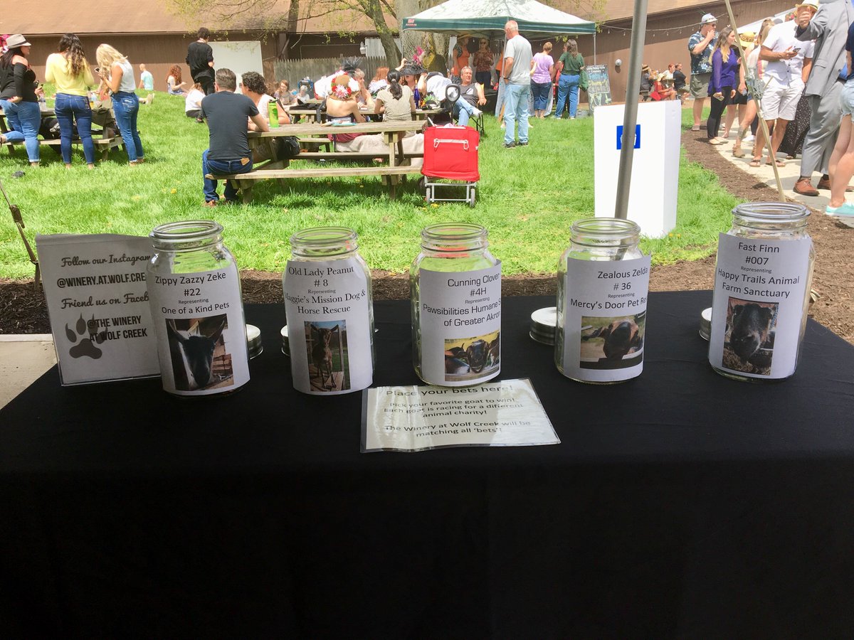 KatieByardABJ's tweet photo. Fun covering a bit of the Wwinery at Wolf Creek annual Goat Derby today. Fun spin on Ky. Derby. Betting jars allow patrons to support animal charities. @ohiodotcom #wineryatwolfcreek #goatderby https://t.co/L72pEak238