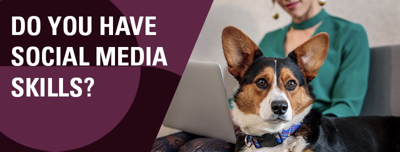 habdevoogd's tweet photo. Have you seen our latest exciting #socialmedia job opening at the @MerckAH global communications team? Take a look at this post and apply now! https://t.co/MseL8d59CL #SocialSaturday #MerckAH https://t.co/37NrWOHiXV