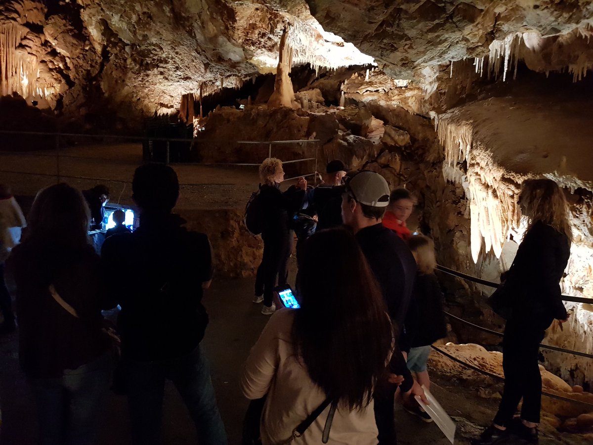 Aldo Genesio tweet media