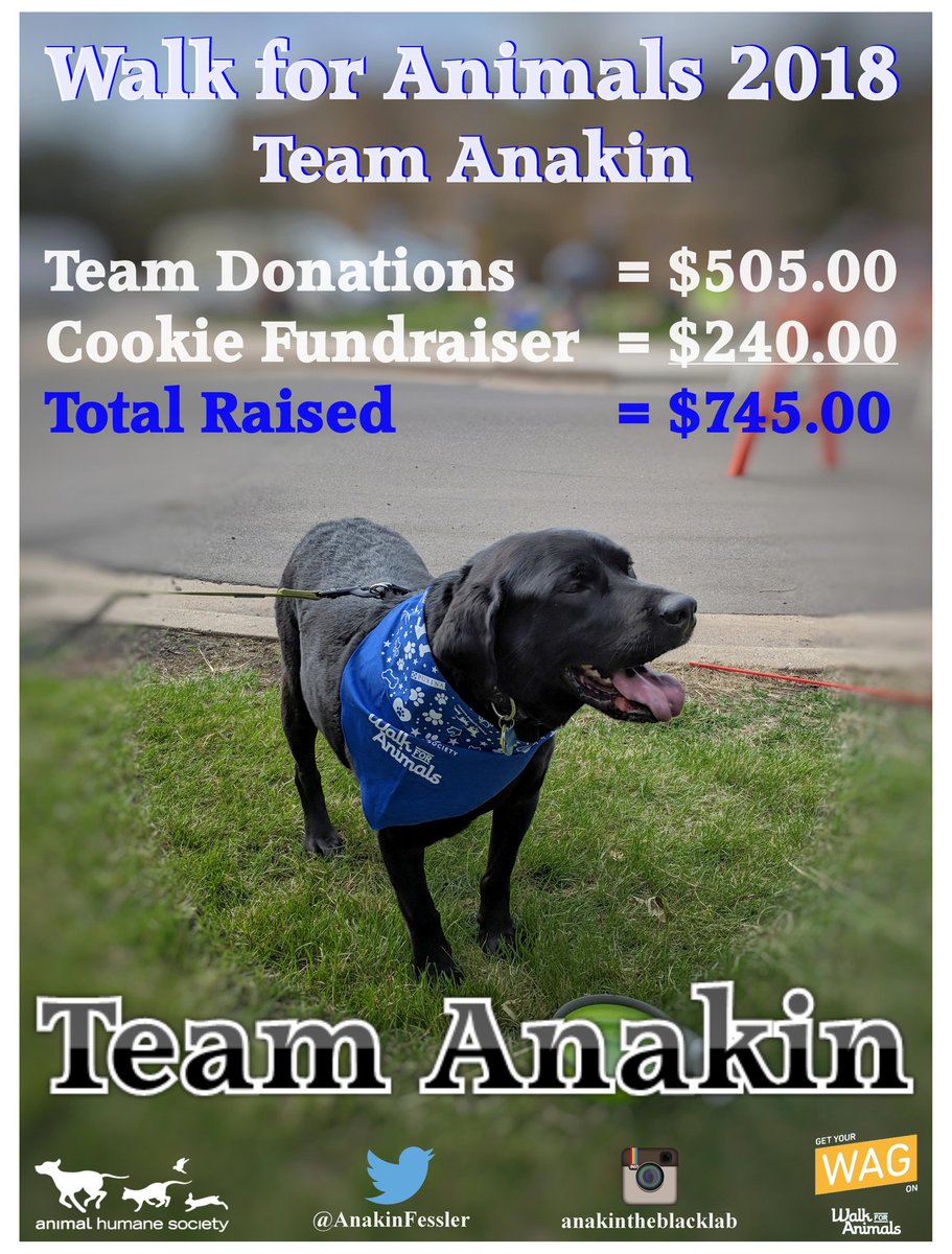 AnakinFessler's tweet photo. Thank you to everyone who supported #TeamAnakin & the @Animal_HumaneMN in the 2018 #WalkForAnimals! #WalkForAnimalsMN https://t.co/cfzEUkG3OM