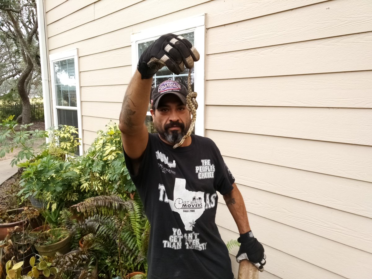 LMMover361's tweet photo. One of my workers found a friend at a customers house.  At times the move can get dangerous.  #moving #letsmove #snakes #dangerousmove #movinghumor https://t.co/sA2cUOZXwd