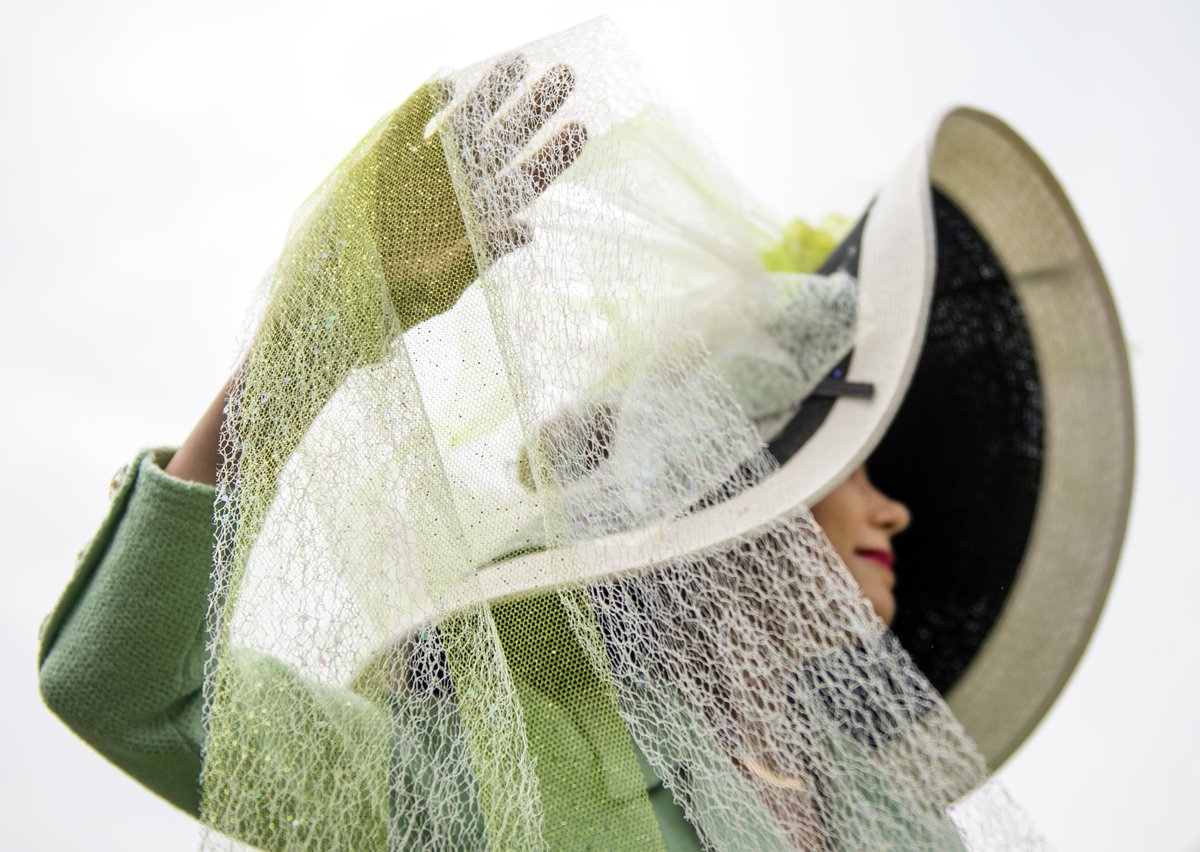 StephChambers76's tweet photo. Hats from the 20th Annual PNC Pittsburgh Parks Conservancy Spring Hat Luncheon. (Steph Chambers/Post-Gazette) #HatLunch2018 https://t.co/yykk8qDbOg