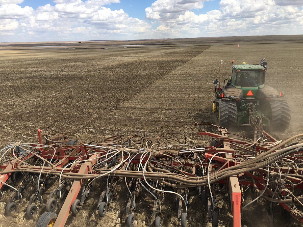 MegDesjardins's tweet photo. That’s a wrap!! First @DEKALB_Canada plot of the season in the ground!!! Beauty Day!! #canola #localdata #westcdnag #ABag #plant18 #plotseason18 https://t.co/YUI9Ayzmp2