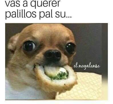 MoniContreras's tweet photo. Yo .... https://t.co/k9KlBLcLh8