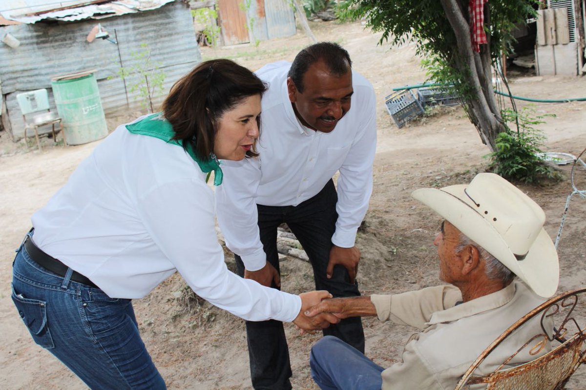 LICO QUINTANILLA tweet media
