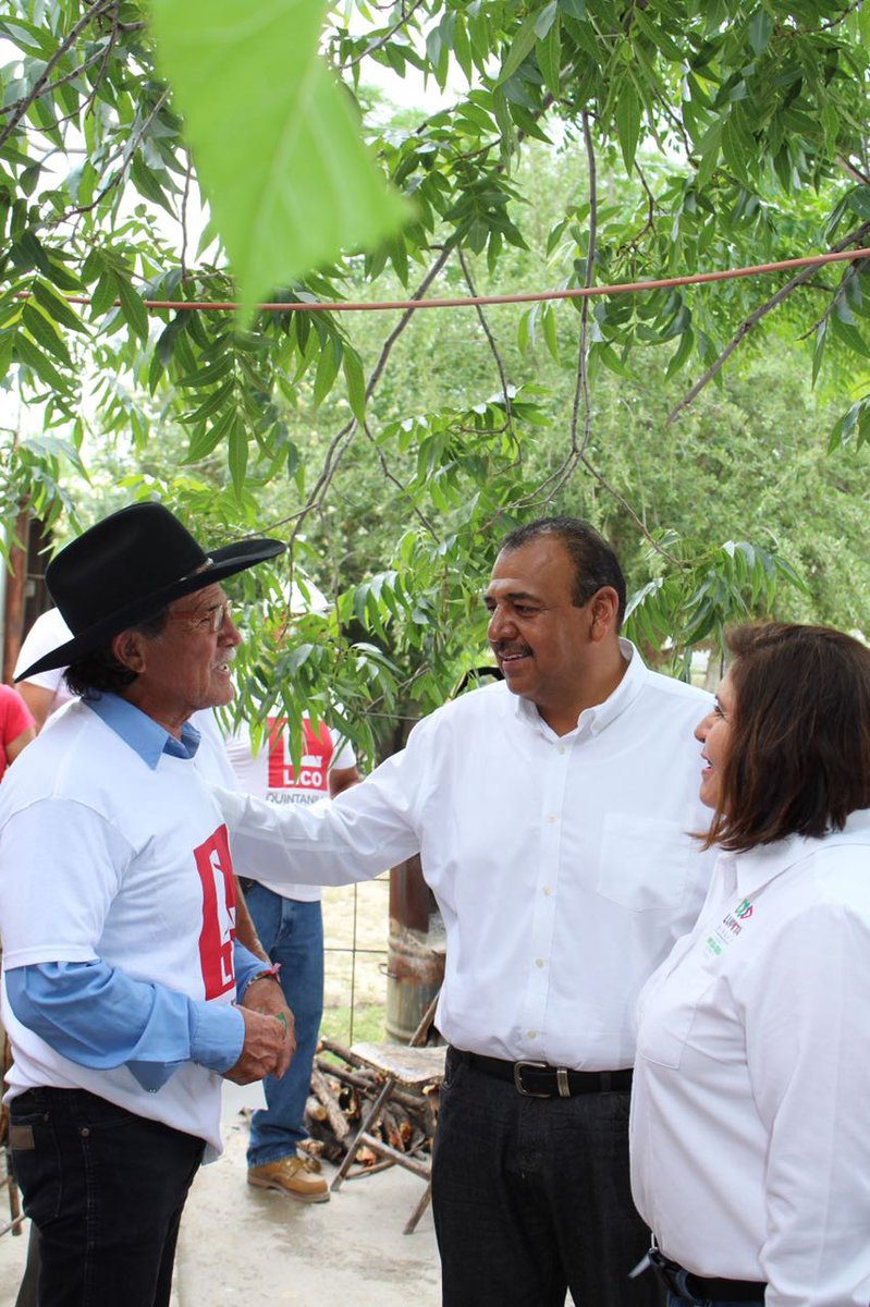 LICO QUINTANILLA tweet media