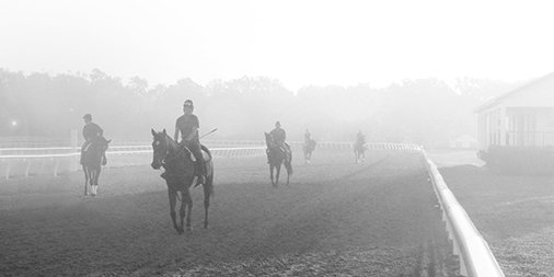 maggyhawk's tweet photo. Maggy Hawk was a winning thoroughbred racehorse and every bottle in our series, a tribute to her greatness. Happy #DerbyDay from Maggy Hawk  🍷🏇🏾🌹#CharacterPrevails

Learn more at https://t.co/l2kh7xjWZz https://t.co/LPjzTwFVJc