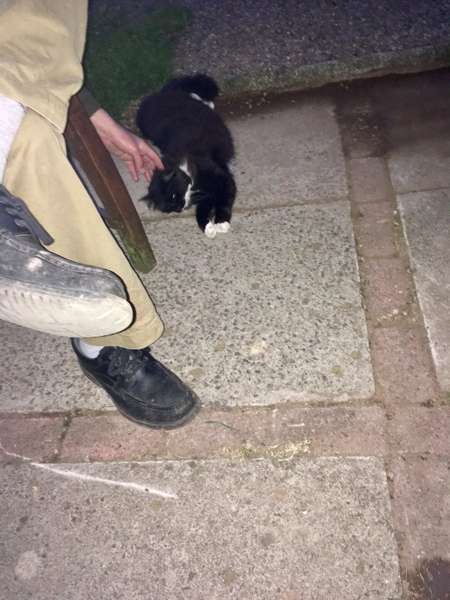 AshdaleDogs's tweet photo. First night out in the garden in front of the chimnea - and our little visitor seems to be enjoying it too ☺️ #standdown #nobreakandentry #welcomevisitor @polscotdogs https://t.co/tk8JuZvQjZ