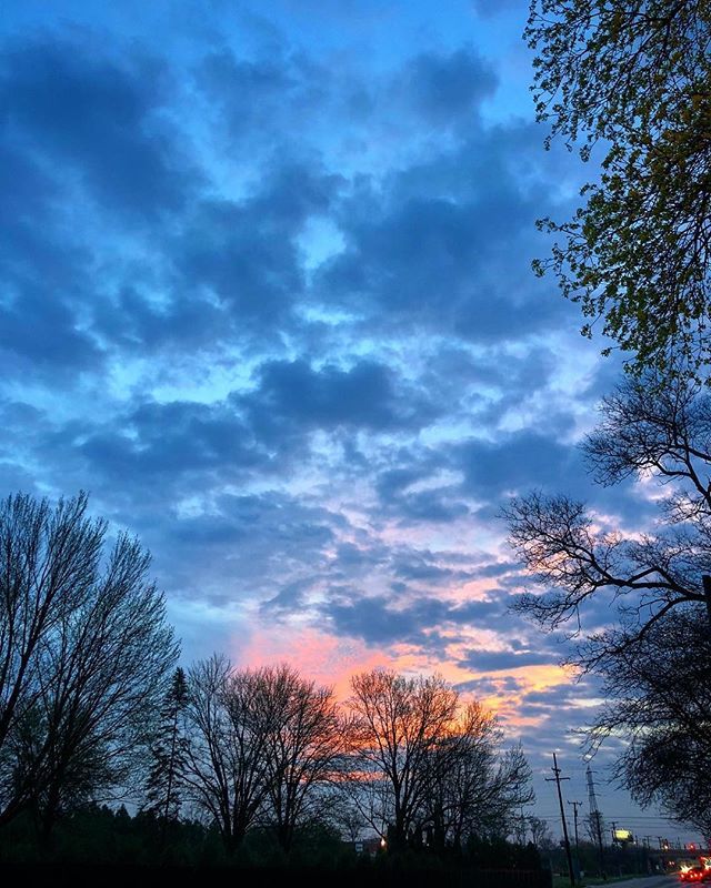 OakGov's tweet photo. The #OaklandCounty sky streams neon blues, pinks, and oranges over the city of #RoyalOak. This vivid #Sunset was captured by @kpbim. .
.
.
.
.
#RoyalOakMI #PureMittigan #PureMichigan #SpringInTheMitten #MichiganLife #MichiganLove #MittenLife #MittenLove … https://t.co/7AIRvksoOf https://t.co/QNRPh7dFe1