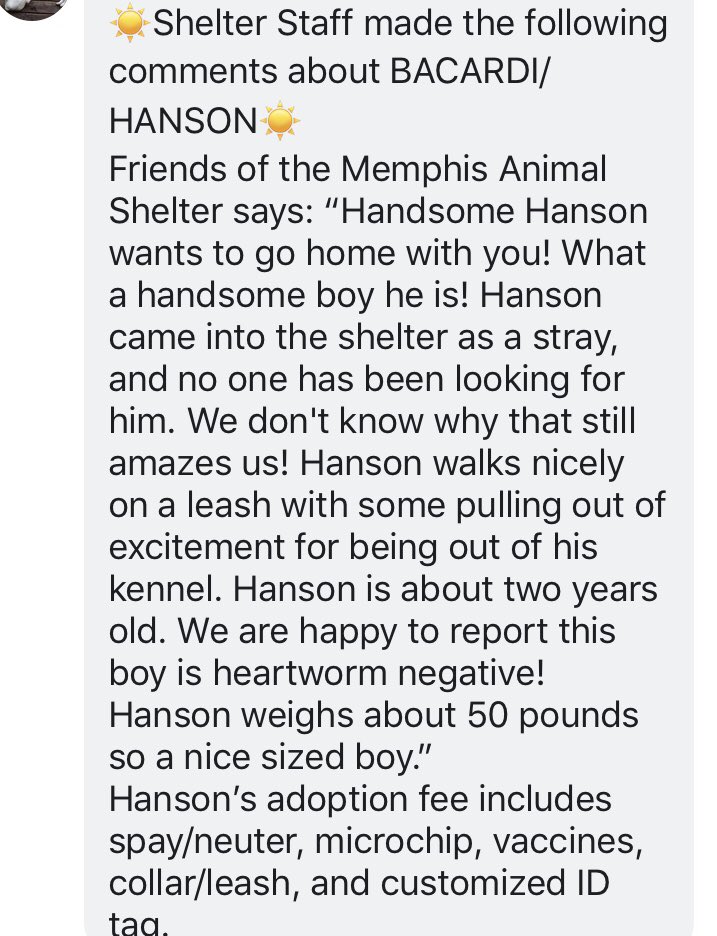 reddogsusie's tweet photo. #TN #MEMPHIS
๐๐CRITICAL Barcadi/Hanson 2yo boy hw- came in as a stray, sweet handsome boy friendly, nice leash manners. Needs a home fast! SHELTER IS FULL! #ADOPT #PLEDGE #RESCUE #FOSTER #A303087 HELP๐๐ป
https://t.co/y4jkEUCGTA https://t.co/Bsgf6z3VXv