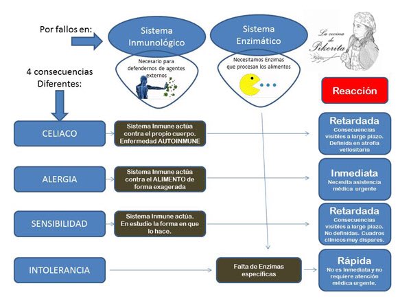 Por costumbre en la sociedad y medios de comunicación se engloba en la palabra #Intolerancia todo lo que tiene que ver con problema alimentario. La #celiaquia es una ENFERMEDAD AUTOINMUNE 

He preparado este esquema aclaratorio

#MayoCeliaco #movimientoceliaco