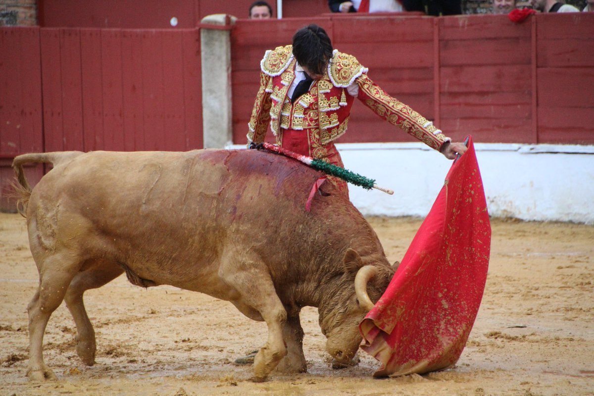 Curro Díaz tweet media