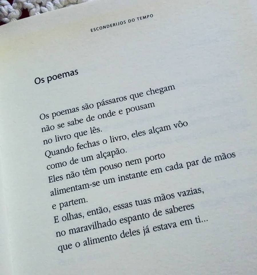 vanizelemos's tweet photo. Mário Quintana

♡ https://t.co/8m1oBqbyEx