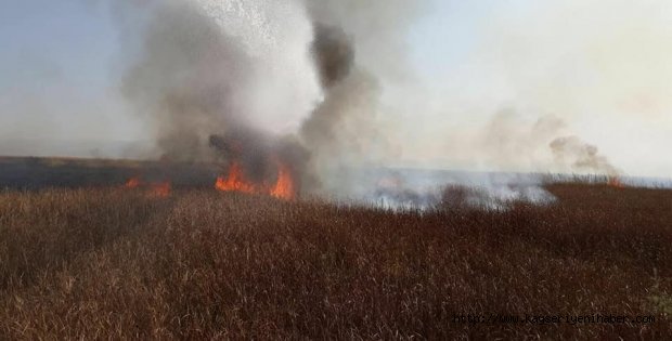 Anamur'da Doğal Yaşam Alanı Kül Oldu!

anamurolay.com/haber_514_anam…