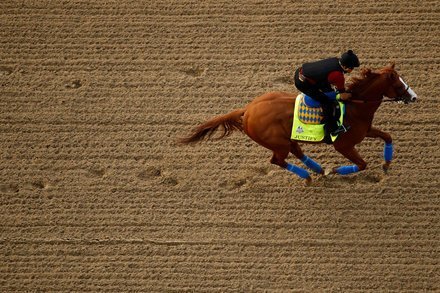 RMClubF's tweet image. Kentucky Derby 2018: Live Updates and Odds