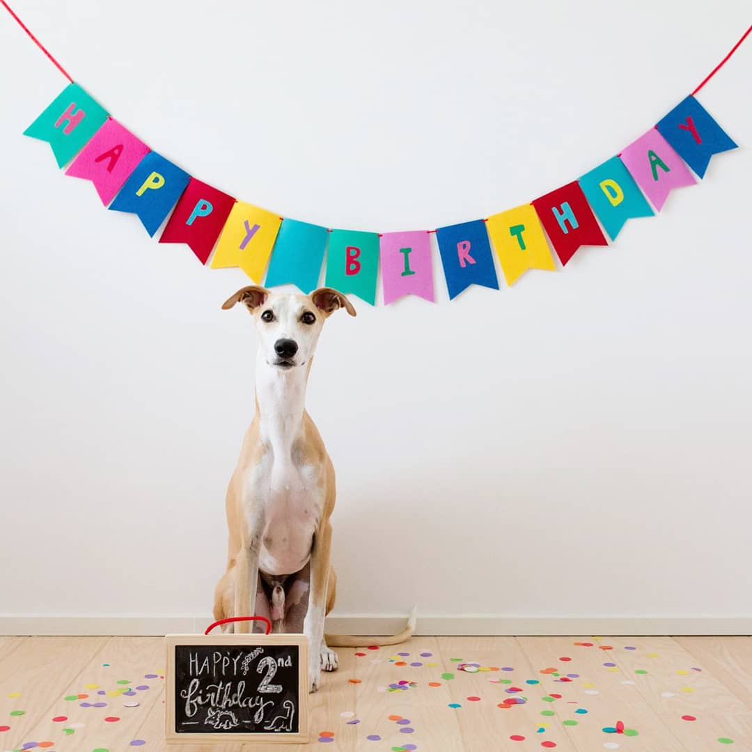 Happy 2nd birthday pretty boy 💙🎉✌🏼 #BirthdayBoy #CincoDeMayo