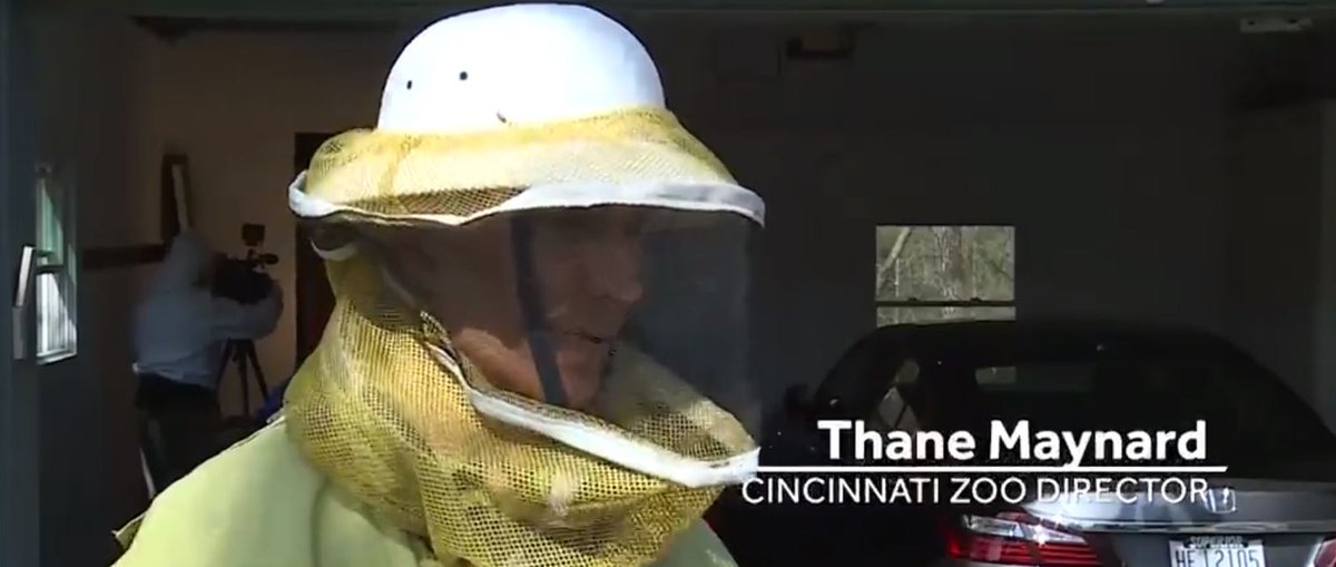 Pollin8tor's tweet photo. #beekeeper moves 50,000 #honeybees from garage to zoo .Long live the queen. https://t.co/LpReuLcETs https://t.co/8ELzo4wfZq