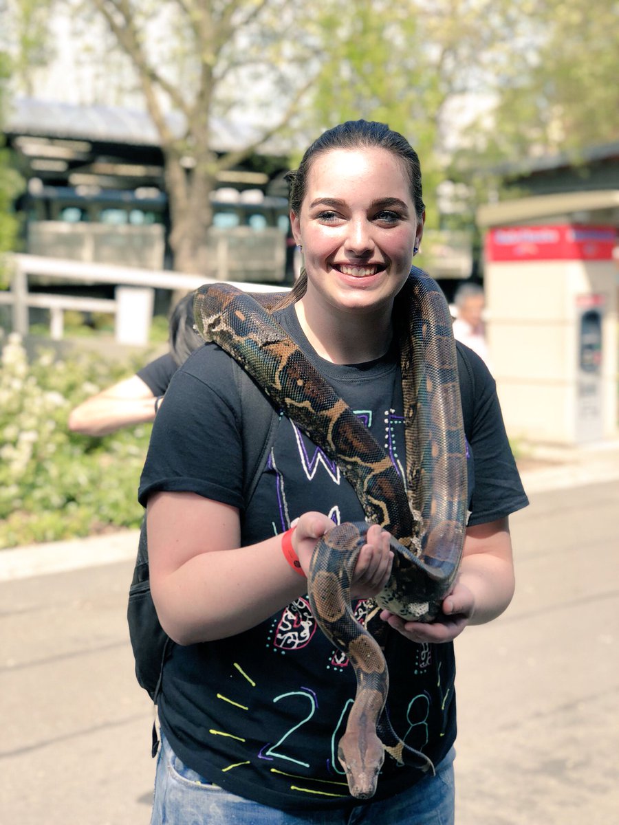 BeckyBr88380678's tweet photo. WE Day Field Trip 2018! A few brave souls holding snakes at Seattle Center. #Timberwolfpassion214 https://t.co/iomCjPqX3d