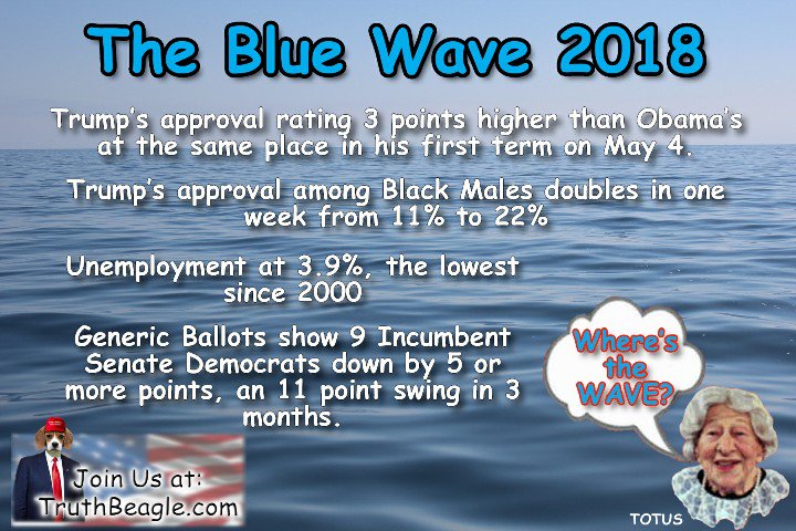 TruthBeagle's tweet photo. #Bluewave sucked back by a #redundertow https://t.co/9yhpCjLRW9