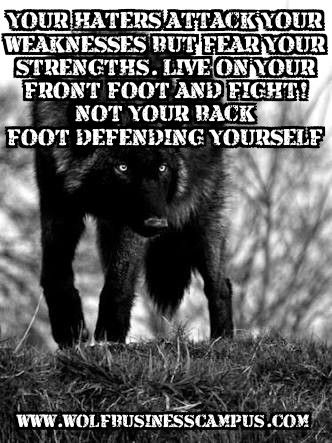 dancarsonwolf's tweet image. 