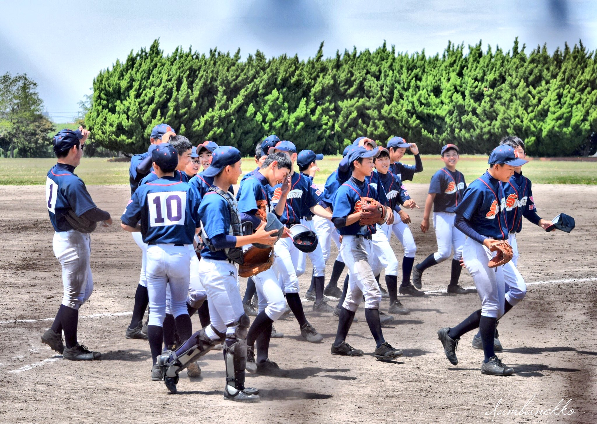 中学野球 HALUHI@高校野球・中学野球 on X: 