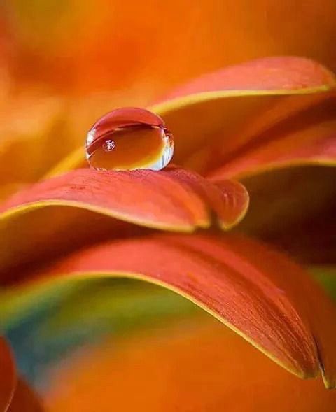 PardueSuzanne's tweet photo. Life is so much brighter
when we focus on what
truly matters... https://t.co/IdsssFTlMx