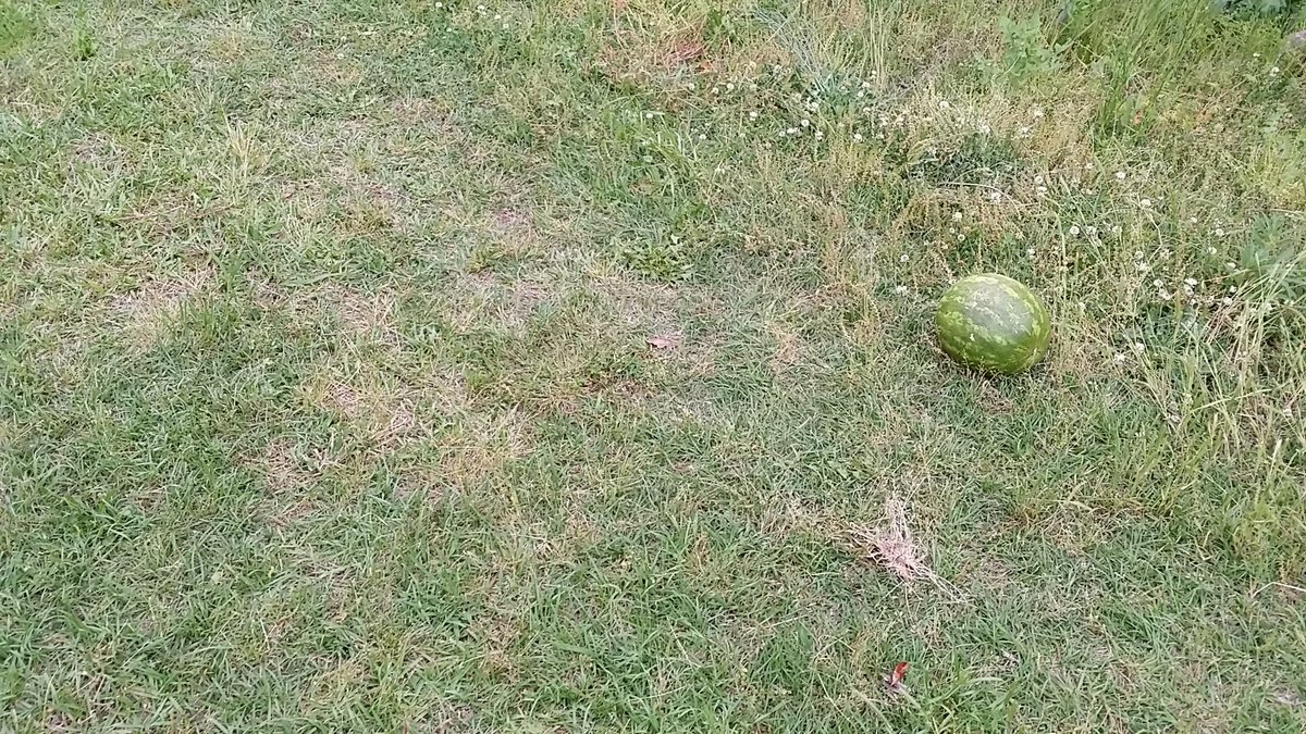 Jerry Martin II tweet media