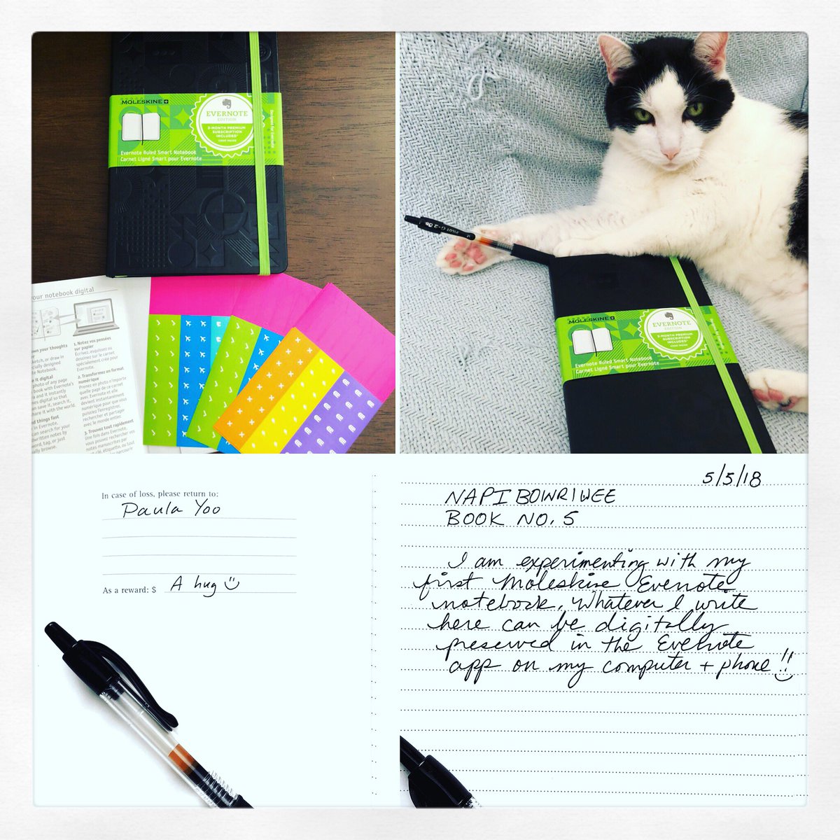 PaulaYoo's tweet image. For Day 5 of my 10th Annual #NationalPictureBookWritingWeek AKA #NAPIBOWRIWEE event napibowriwee.com, me &amp;amp; @OreoTheCatYoo are having some #WriterGeek 🤓 fun w/my first @evernote @moleskine_world notebook! evernote.com/moleskine ❤️📝💻📚 #kidlit #picturebooks #amwriting